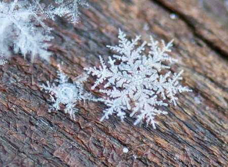 ბარბარობა