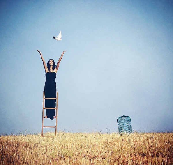 დაიჭირე ბედნიერება